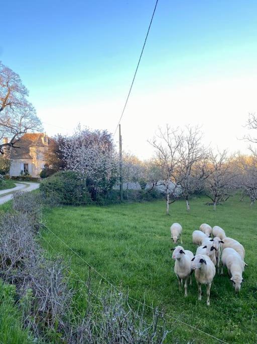 La Grangette De Paunac Cazillac Bagian luar foto