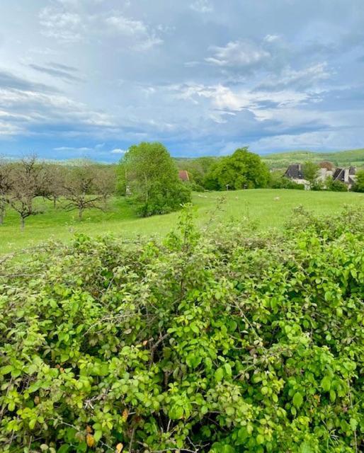 La Grangette De Paunac Cazillac Bagian luar foto